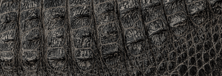 ホワイツの中でも希少性の高いレザー素材